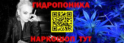 шишки Ливны