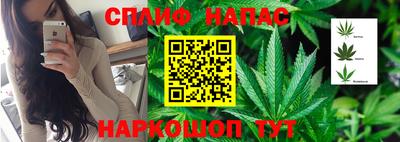 шишки Ливны