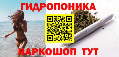 гидра Лесосибирск